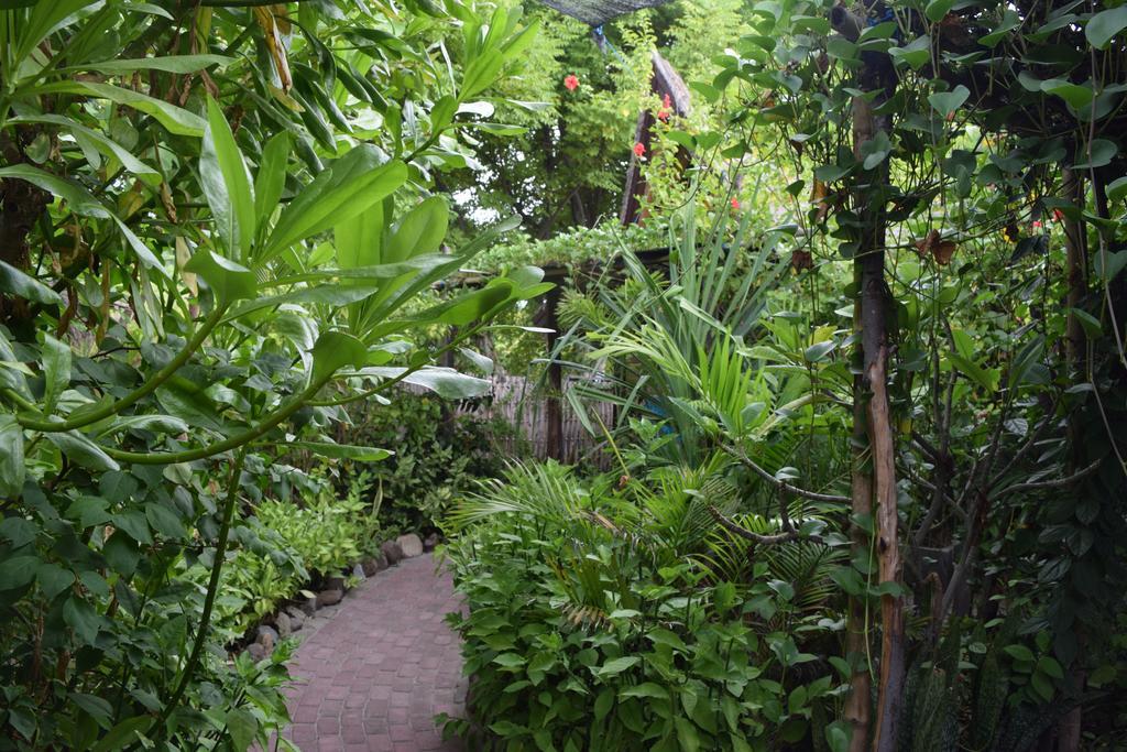 Ana Warung & Bungalows Gili Meno Luaran gambar